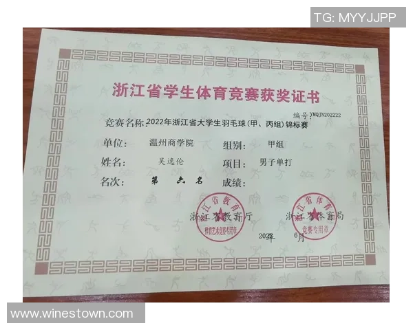 锦标赛点评：武汉羽毛球队的节奏表现