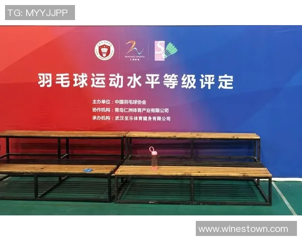 广州羽毛球队在比赛中创新高的经验分享与排名分析