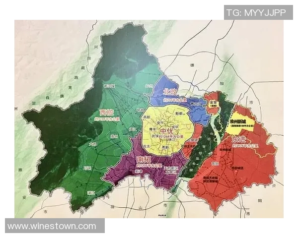 成都网球队实力分析与表现评估探讨及未来发展方向